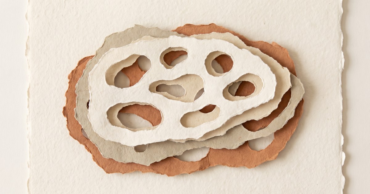 Papierschnitt-Illustration: eine aufgeschnittene Papierplatte zeigt eine unregelmäßige, offenporige Struktur mit vielen Kammern — Kaltschaum im Querschnitt